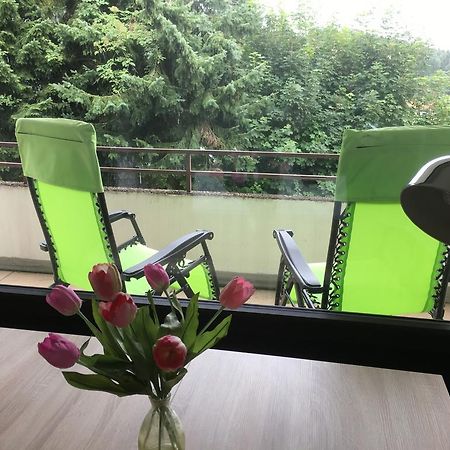 Ferienwohnung Harzmond Braunlage Dış mekan fotoğraf