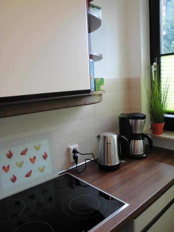 Ferienwohnung Harzmond Braunlage Dış mekan fotoğraf